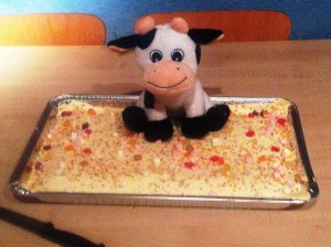 Cattle Cake